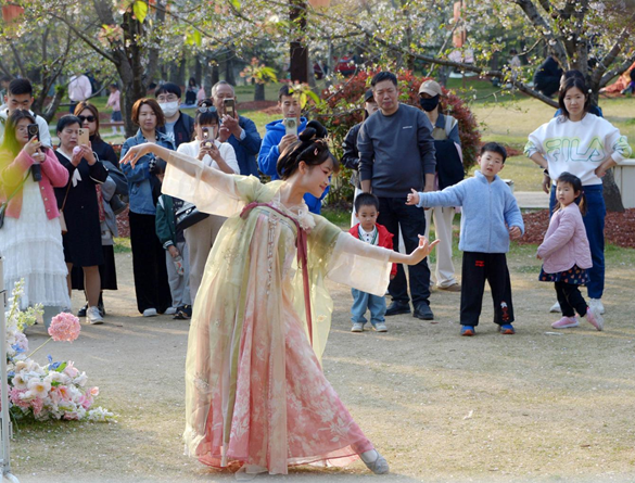 清明假期期間，上海顧村公園櫻花島上，游客在觀賞國風漢服快閃表演。（圖片來源：視覺中國）