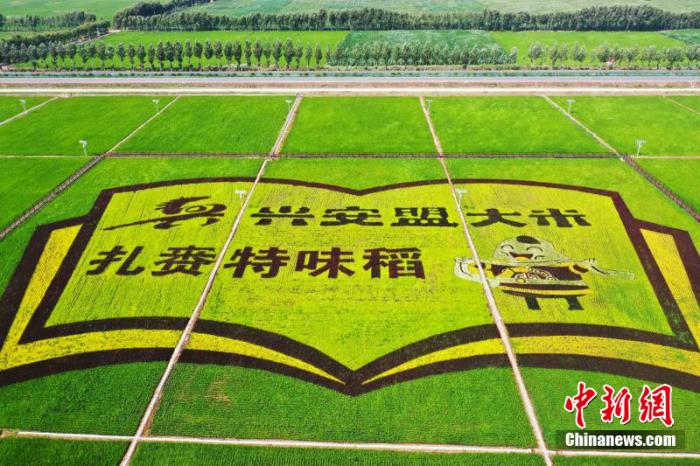 點擊進入下一頁